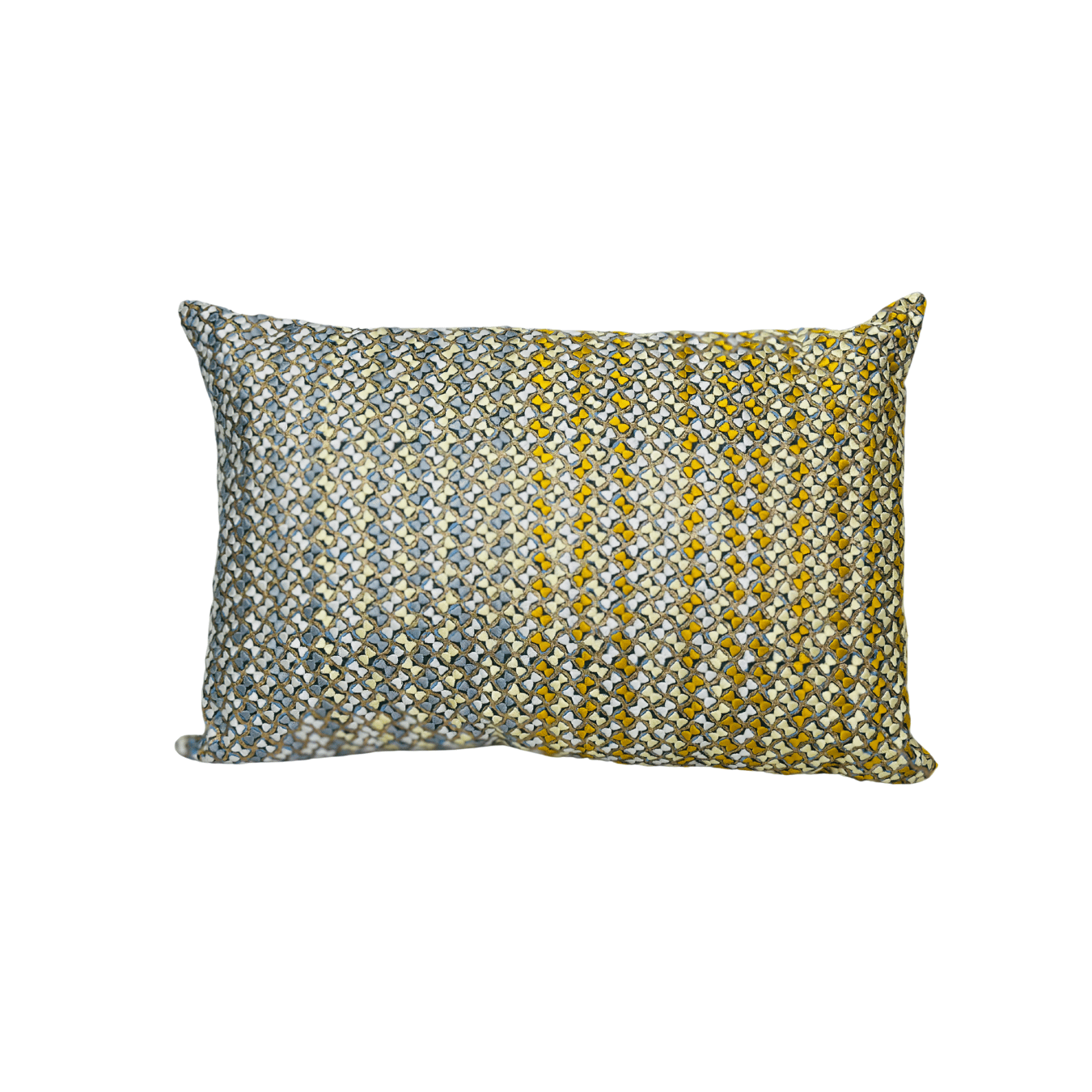 Tushar Silk Rabia Cushion