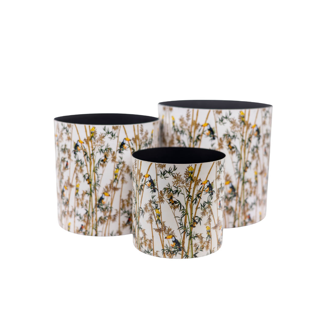 Bamboo Botanical Vase Set – Set of 3