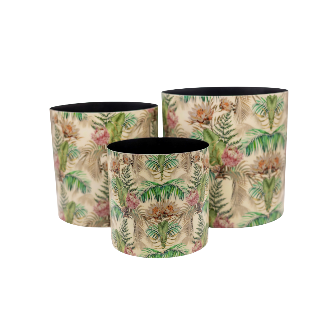 Canopy Nature Trio Vases-Set of three